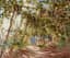 CONSTANTIN WESTCHILOFF (1877-1945)
Capri