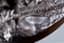 ALBERT-MORITZ WOLFF (1854-1923), AFTER A
MODEL BY VASILY GRACHEV (1831 – 1905)
Bronze group: the Cossack’ Farewell KISS