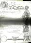 [NATIONAL GUARD].
Diploma of Grenadier of the 1st Battalion of the 11th Legion of the National Guards. [GARDE NATIONALE]. Pièce signée. Pa...