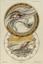 Jules Auguste Habert-Dys (1850-1930)
‘Fantasies Decoratives’: plates 13, 33 and 35