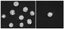 ENSEMBLE DE DIX DIAMANTS
