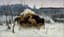 AFTER A STEPANOV, FIRST HALF OF 20TH CENTURY
Moose herd