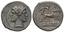 Anonymous, Didrachm or Quadrigatus, Rome, 225-212 BC, AG 6,78 g