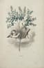 JEAN-JACQUES GRANDVILLE (1803-1847)
TAXILE DELORD (1815-1877)
"The Animated Flowers”
Paris, de Gonet, 1847.
Introduction by Alphonse Karr, Text by Taxile Delord.