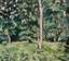 LOUIS VALTAT (1869-1952)
Sous-bois au Printemps, ca. 1928