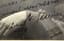 ZOSHCHENKO MIKHAIL (1894-1958), AUTOGRAPH
A portrait photograph signed with a dedicatory inscription by the writer. M.: Leonidov, May 12, 1929