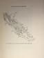 ALEXANDER HAMILTON RICE (1875-1956)
Exploration in Brazilian Guiana. Rio Branco - Uraricuera - Parima.
Paris, Société d'Éditions Géographiques, Maritimes et Coloniales, 1937