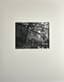TOM EVANS (1948)
Portfolio of 12 black-and-white photographs
St Didier d’Allier