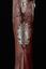 A RARE RUSSIAN FLINTLOCK HUNTING RIFLE
Customized model, 1750 - 1770s.
