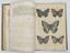 FRANZ STRÄSSLE (1817-1906)
Schmetterlingsbuch: Anleitung zum fangen und aufbewahren der  Schmetterling (The Butterfly Book: instructions on how to catch and  keep butterflies), in German