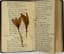 BALMONT KONSTANTIN (1867-1942), AUTOGRAPH
A notebook with handwritten poems—translations from Polish, Lithuanian, Serbian, Croatian, and Bulgarian poetry. 1928.